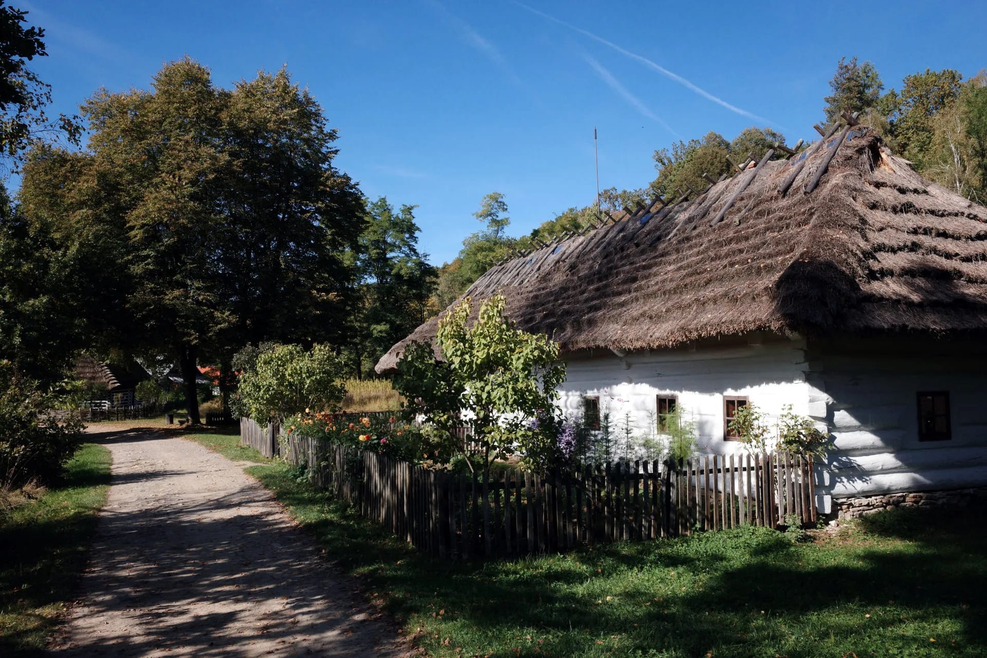 Kryta strzechą chałupa, szutrowa droga i drewniany płotek na wsi w skansenie